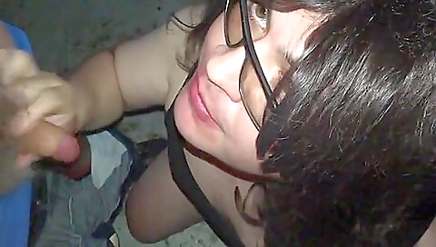 A couple of hot women are having a threesome with their stepbrother