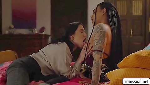 Brunette babe with big boobs gets fucked hard in the anal